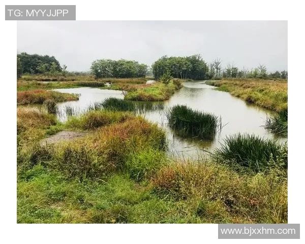 重庆足球队耐力争议引发热议球迷与专家各执己见探讨背后原因